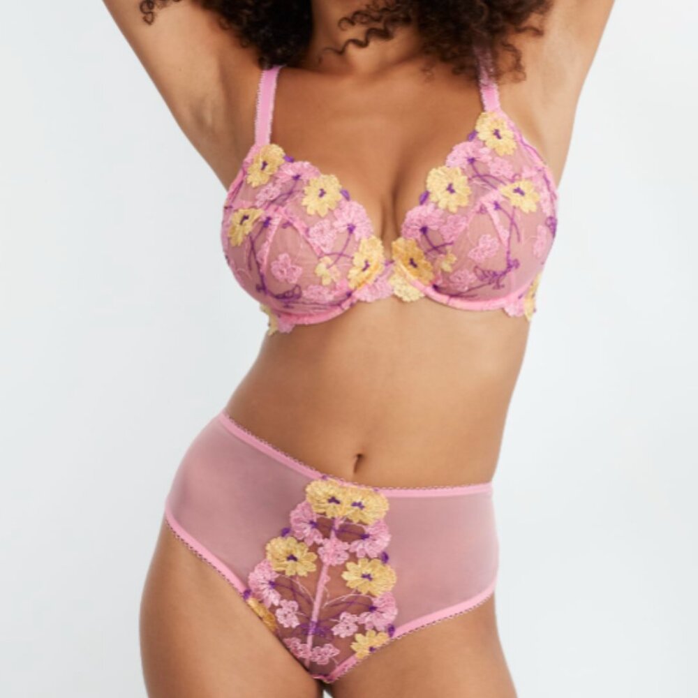 Playful Promises Luna set— bra, brief and suspender, NWT